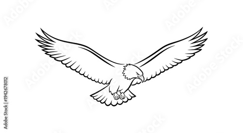 Majestic flying eagle line art illustration with spread wings. Detailed black and white drawing symbolizing freedom, strength, and power.