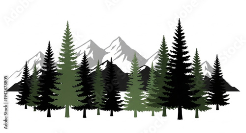 Evergreen Trees Silhouetted Against Mountains.