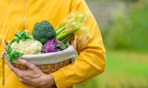 Hands of farmer holding basket with cauliflower, broccoli, corn, and kohlrabi. Harvest season, organic vegetables, healthy eating, and local farm food.