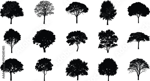 Diverse Collection of Fifteen Black Tree Silhouettes on White Background trees nature