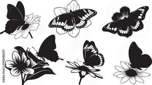 Black and white butterflies and flowers illustration set