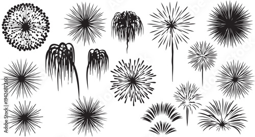 Black and white dandelion flowers in various stages illustration