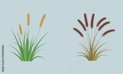 Two stylized grass plants one with golden seed heads and one with brown seed heads on a light blue background