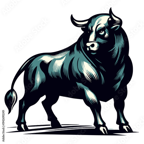 Bull vector and illustration.