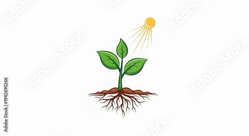 A green sprout with a root system and sunbeams