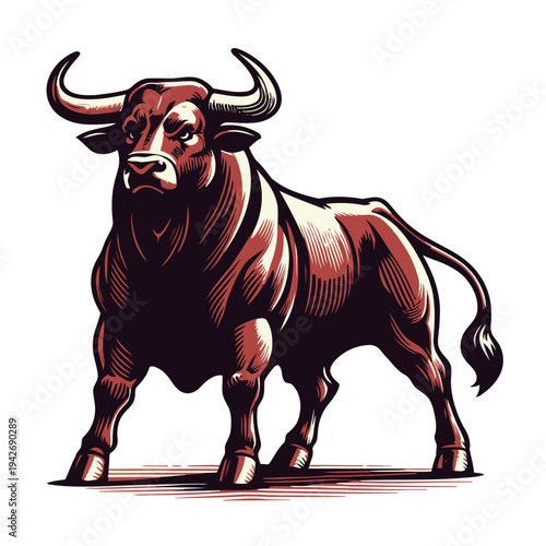 Bull vector and illustration.
