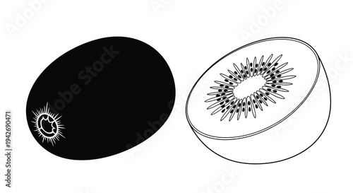 Kiwi fruit illustration showing a whole fruit and cut half silhouette