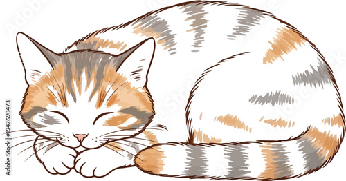 Adorable tabby cat illustration peacefully sleeping curled up on a clean white background, showcasing its calm and relaxed nature.