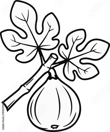 A detailed black and white illustration of a fig on its branch with leaves
