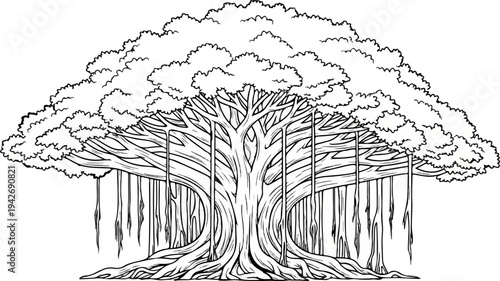 A detailed, black and white line drawing of a large, expansive banyan tree
