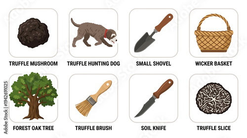 Truffle Hunting Essentials Icon Set Vector – Illustrations of Truffle Mushroom, Dog, Shovel, Basket, Oak Tree, Brush, Soil Knife, Truffle Slice for Culinary and Educational Projects