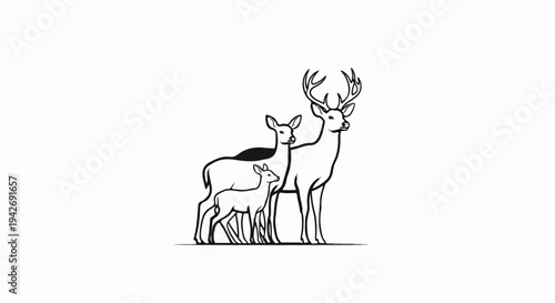 A black line art drawing of a deer family