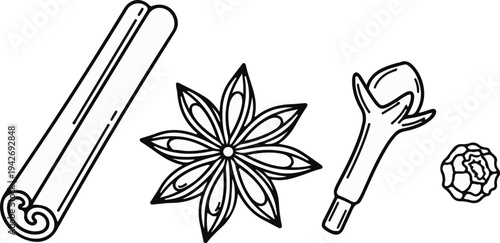 A line drawing of cinnamon, star anise, clove, and peppercorn spices