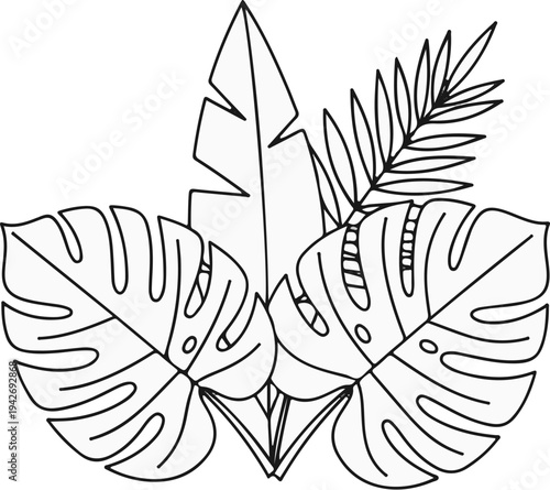 A line drawing of tropical leaves with distinct fenestrations and jagged edges