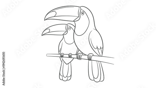 Line Drawing of Toucans on Branch: Two toucans, with their characteristic large beaks, perch together on a branch, illustrated in a clean, minimalist style. 