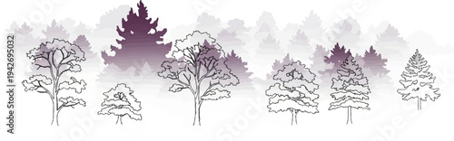 A sketch of trees with purple watercolor background, forest theme