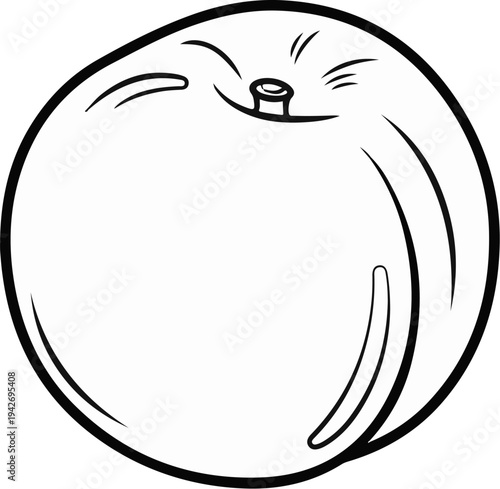 A simple black and white line drawing of a round fruit