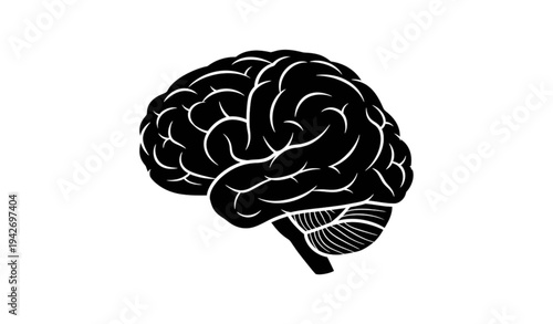 A black and white illustration of a human brain