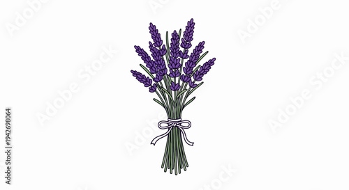 A simple illustration of a tied bouquet of purple lavender flowers