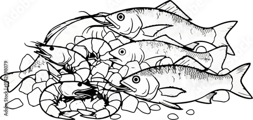 A pile of assorted fish and shrimp rests on a bed of smooth stones