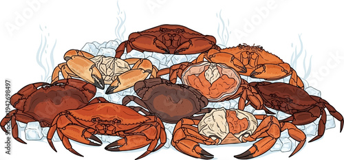 A colorful illustration of crabs piled on ice with steam rising