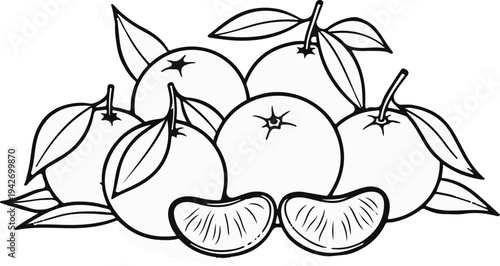 A still life drawing of several oranges with leaves and two segments