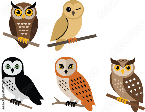 Cute owl cartoon collection sitting on branches, colorful vector illustration of forest birds isolated for wildlife, nature, education, and children design projects