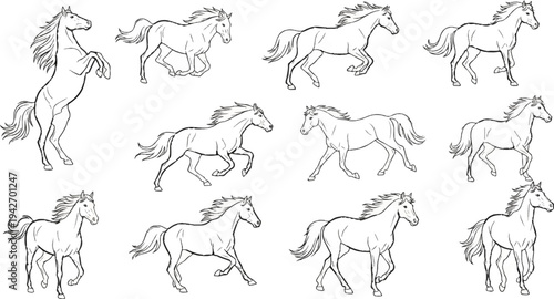 A collection of black and white line drawings of horses in various poses and gaits