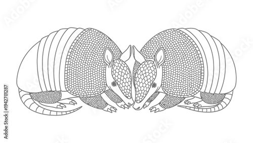 Intimate Armadillos: A pair of meticulously illustrated armadillos, their armored shells and gentle features, embrace in a tender moment, a testament to the beauty of nature's design.