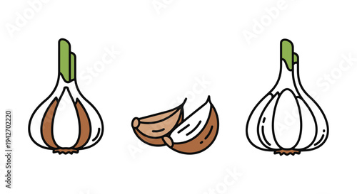 Thai Garlic Line art vector modern minimal abstract