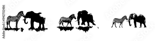 Silhouette of Serenity: Elephant and Zebra in the Wild