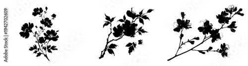 Black and White Botanical Silhouette