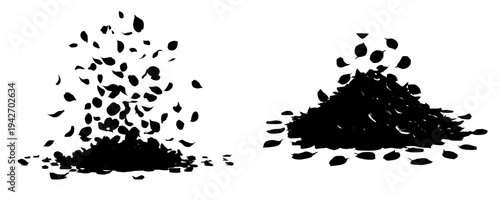 Silhouette of Rose Petals Falling in Black and White