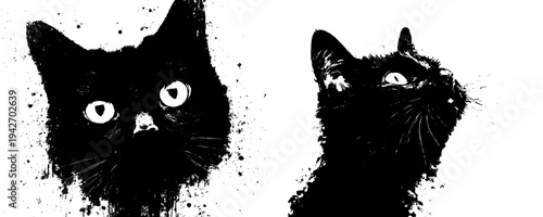 The Silhouette of a Cat's Soul