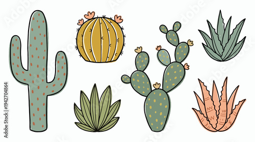 Hand drawn collection of various desert cacti and succulents including saguaro and barrel plants in flat doodle style, concept for botanical sticker design, home decor and nature graphics