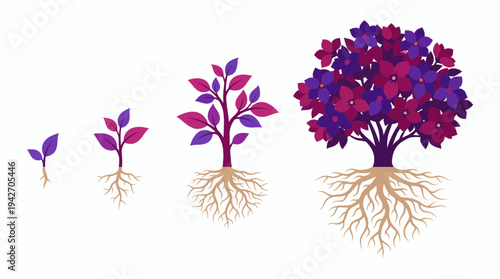 Four stages of purple plant growth from sprout to blooming tree with visible root system on white background, concept for business development, financial progress and career success