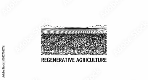 Sketch of a lush cornfield extending to distant rolling hills