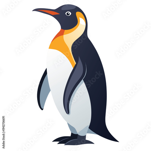 penguin on a white background