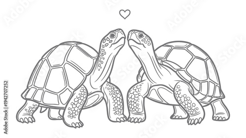 Two Tortoises in Love: A charming line art illustration depicts two tortoises leaning in for a tender moment, with a delicate heart floating above them, symbolizing affection and connection.