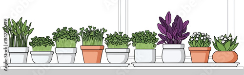 Assortment of potted plants and microgreens growing indoors on a windowsill