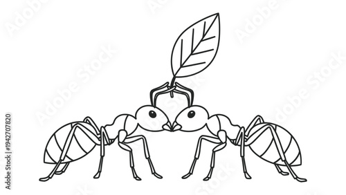 Ants carrying leaf: a black and white illustration depicts two ants working together to carry a leaf, highlighting teamwork and shared effort.