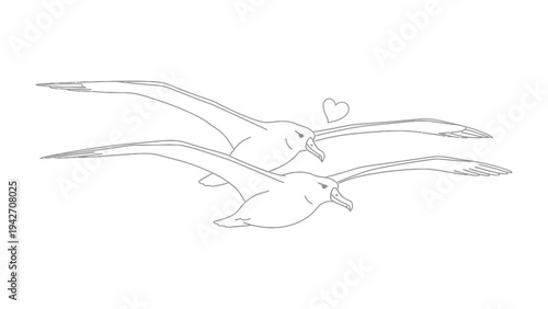Albatross Love: An illustration of two albatrosses gracefully flying, with a heart floating above them, symbolizes freedom and devotion.