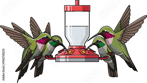 Four hummingbirds feeding from a red nectar dispenser
