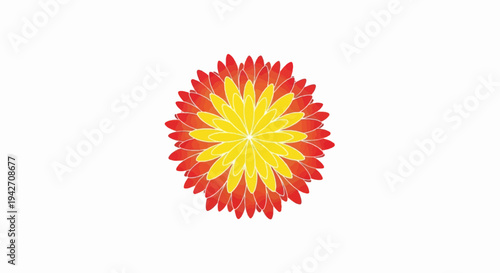 Radial bloom of yellow and red petals, bright and vibrant