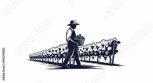 Silhouette of a farmer with hat carrying basket of grapes through a vineyard