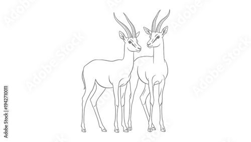 Graceful gazelles in monochrome: A pair of gazelles, rendered in stark black lines on a clean canvas. capturing the elegance and natural beauty of the graceful animals