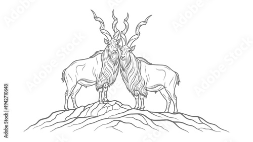 Exquisite Ibex Duo: A beautifully illustrated pair of ibexes with majestic, curving horns stand elegantly, captured in a serene display of connection.