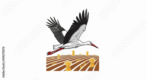A stork flies over a harvested field with hay bales