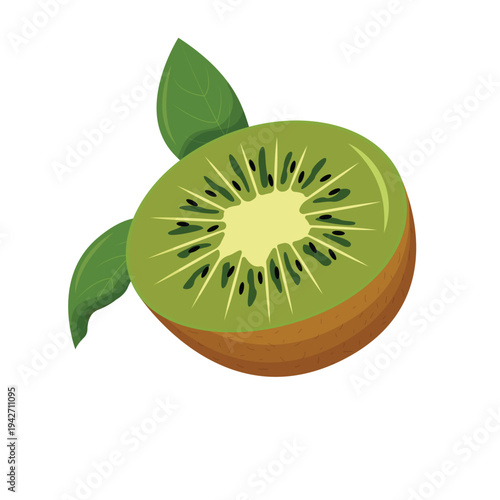 Fresh juicy slice of ripe kiwi fruit isolated on a white background showing healthy green tropical freshness and natural nutrition