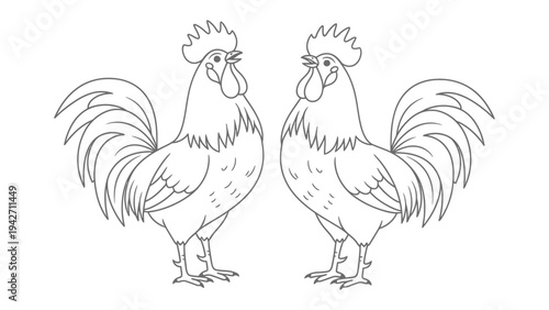 Duo Rooster in View: Two rooster with their proud crests and elaborate tail feathers, stand side by side. this illustration features their intricate detail.